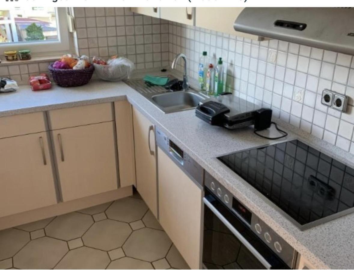 Sonnige 3 Zimmer Wohnung Mit Schoenem Balkon Im Gruenen ロイトリンゲン エクステリア 写真