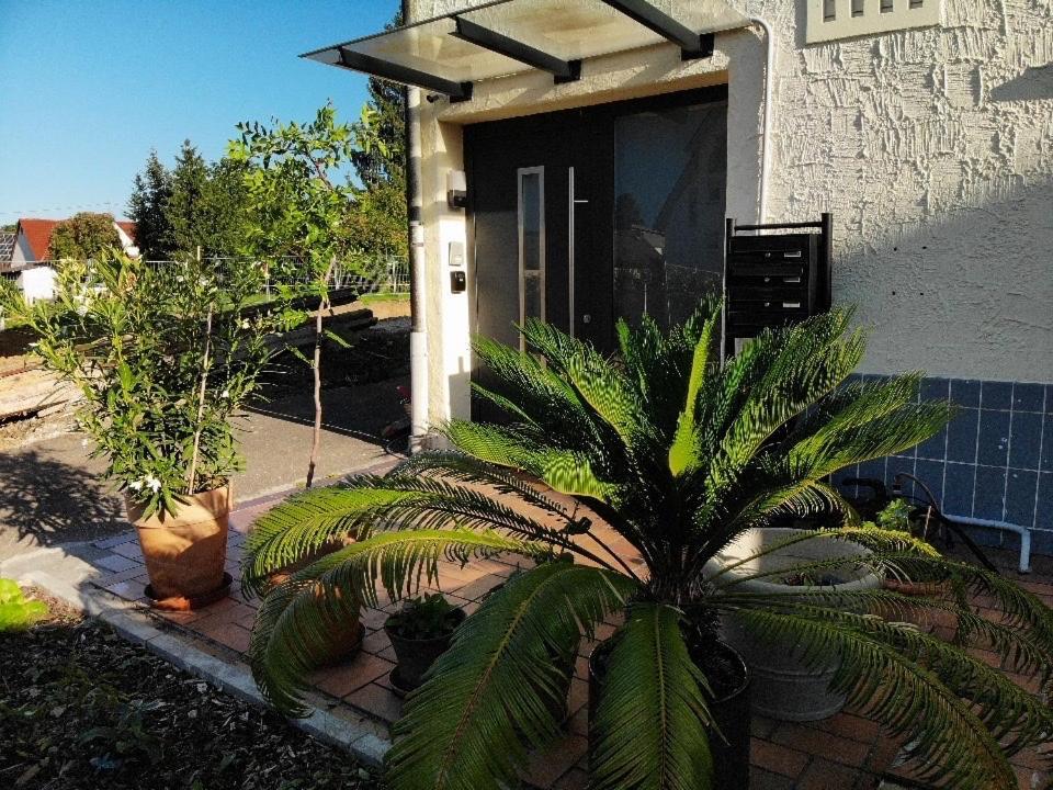 Sonnige 3 Zimmer Wohnung Mit Schoenem Balkon Im Gruenen ロイトリンゲン エクステリア 写真